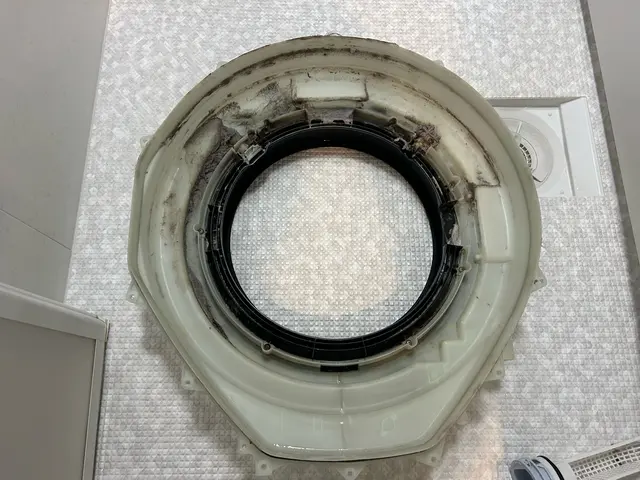 ニオイ・乾かない…ドラム式のお悩みは分解洗浄で内部のカビ・汚れもスッキリ清潔◯サービスの画像