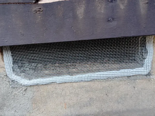 無料見積もり可能。ネズミの侵入口を徹底的に封鎖します。安心して暮らせる環境づくりサービスの画像