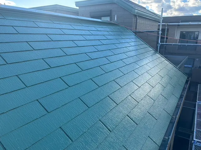 1年間限定価格に挑戦サービスの画像