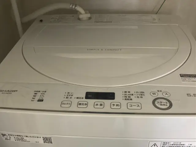 【愛知県】洗濯機の設置！　引越し業務経験あり　＊運搬もokサービスの画像