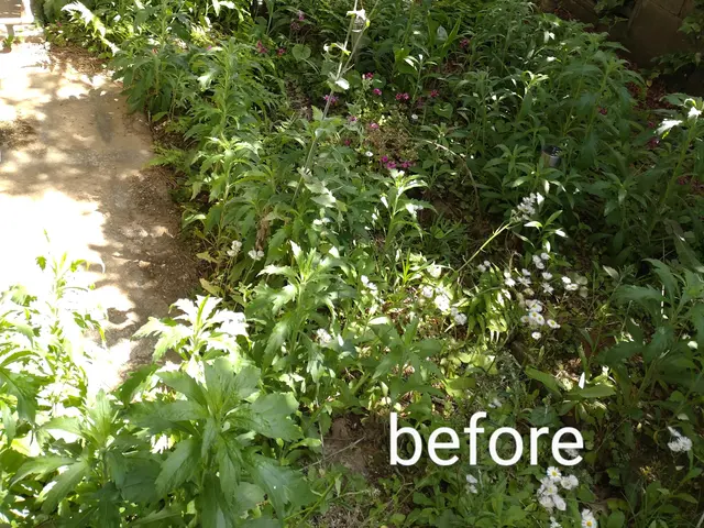 ☆業歴20年　一級造園施工管理技士が対応！【スッキリ•爽やかなお庭にします！】☆サービスの画像