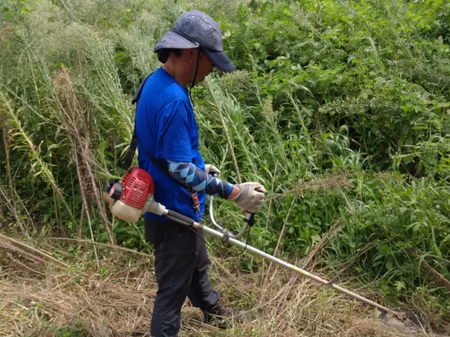 ☆業歴20年　一級造園施工管理技士が対応！【スッキリ•爽やかなお庭にします！】☆サービスの画像