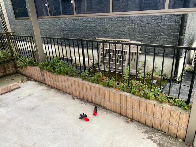 【木漏れ日降り注ぐお庭造り･:*+】お庭の美容師が伺います♪サービスの画像