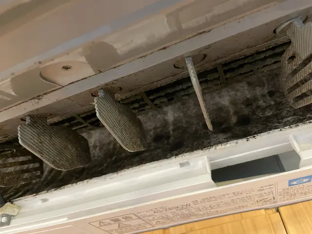 実績700件以上！大手の技術を安価で！分解高圧洗浄＋専用液剤★複数台サービス有★サービスの画像