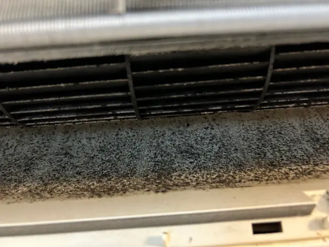 最短11月14日！1台8,000円2台15,000円 丁寧洗浄！抗菌コート無料！サービスの画像