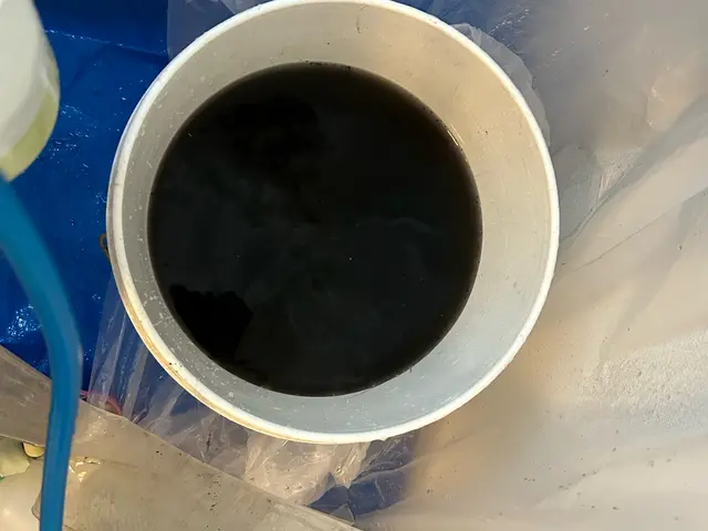 最短11月14日！1台8,000円2台15,000円 丁寧洗浄！抗菌コート無料！サービスの画像