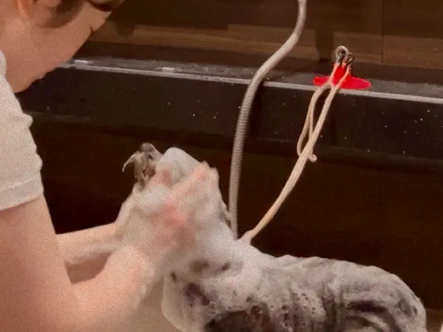 ＜小型犬専門＞ワク証なくてもOK！子犬〜シニア犬まで☆脱衣所で完結♪出張トリミンサービスの画像