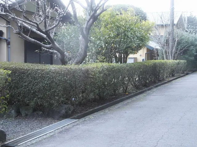 【業歴10年以上の経験と実績】地元密着、伊豆市中心・アフターフォローもばっちり！サービスの画像