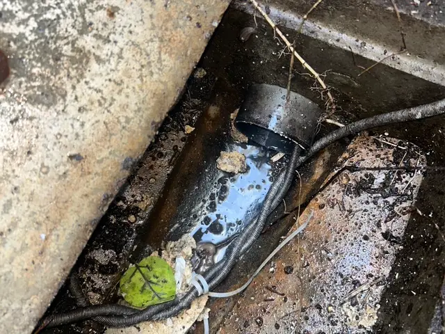 20年の実績！自社スタッフによる安心丁寧な作業をお約束サービスの画像