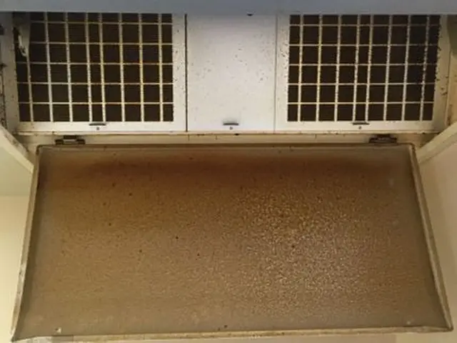 ☆日本ハウスクリーニング協会会員のハウスクリーニング士である私が伺います☆サービスの画像