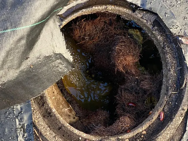 【業歴30年以上の経験と実績】受付訪問とも同じ者が伺いますサービスの画像