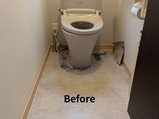 「快適」をお届け！トイレ交換サービスの画像