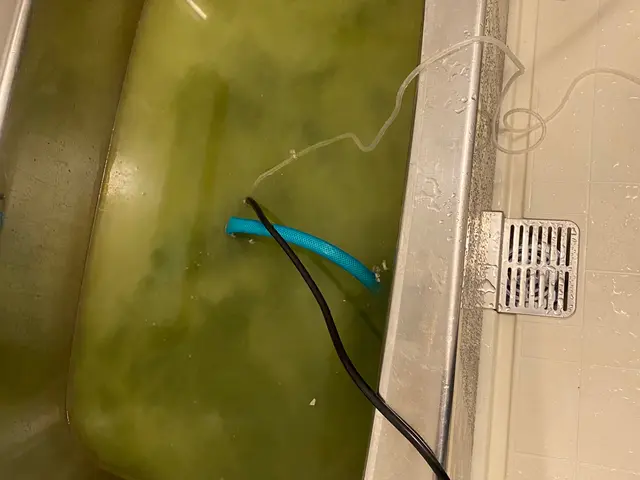 今がお得です☆新生活・お子様・肌の弱い方、、マイクロバブルでキレイなお湯に☆サービスの画像