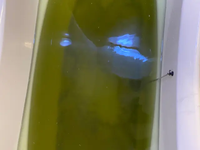 今がお得です☆新生活・お子様・肌の弱い方、、マイクロバブルでキレイなお湯に☆サービスの画像