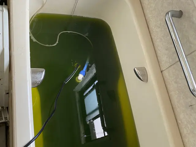 今がお得です☆新生活・お子様・肌の弱い方、、マイクロバブルでキレイなお湯に☆サービスの画像