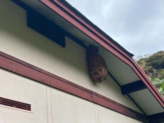 当日でもスケジュールが空いていればお伺い致します！◆営業時間外も対応OKサービスの画像