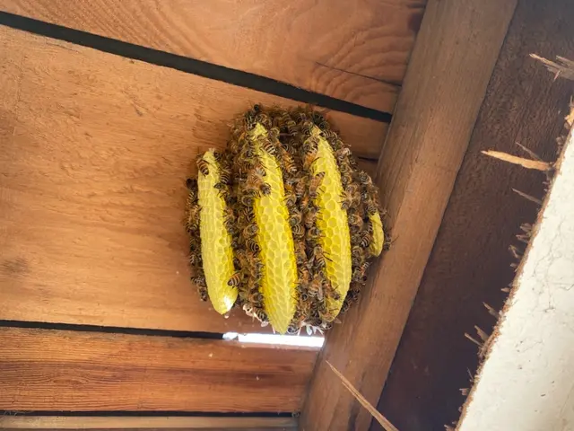 当日でもスケジュールが空いていればお伺い致します！◆営業時間外も対応OKサービスの画像