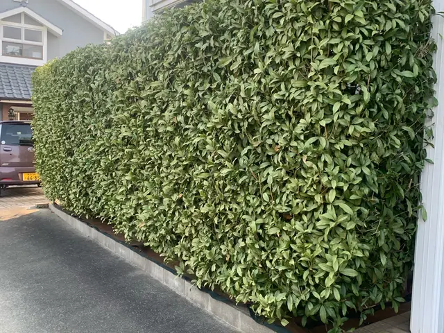 「見積り・相談無料」◆植え込み・生垣の剪定いたします。サービスの画像