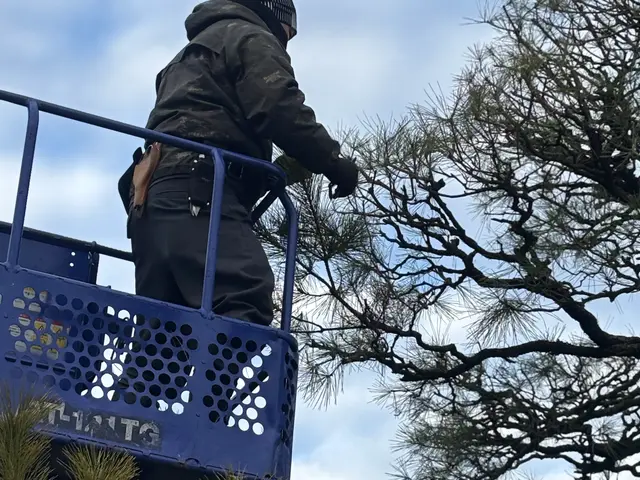 「見積り・相談無料」◆植え込み・生垣の剪定いたします。サービスの画像