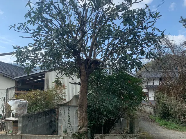 「見積り・相談無料」◆植え込み・生垣の剪定いたします。サービスの画像