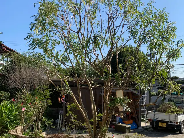 「見積り・相談無料」◆植え込み・生垣の剪定いたします。サービスの画像