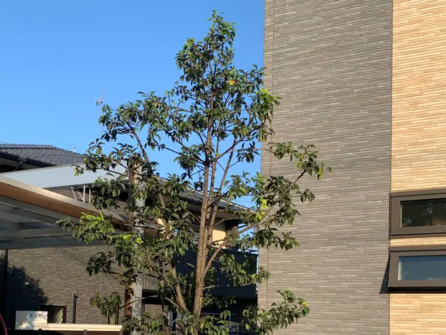 「見積り・相談無料」◆植え込み・生垣の剪定いたします。サービスの画像