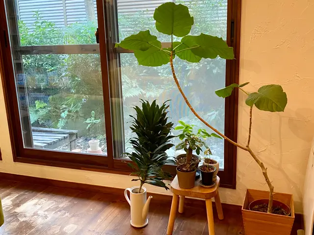 ☆お片付け専門！整理収納が得意です☆paypay決済可能☆3時間〜サービスの画像