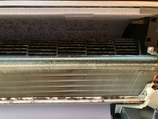 経験500台以上！丁寧・徹底的な清掃で快適空間を実現サービスの画像