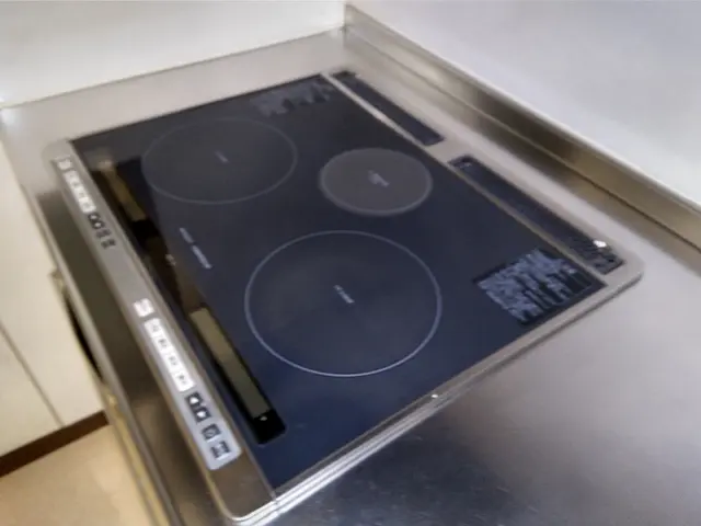 あの【がっちりマンデー！！】で紹介された、急成長のFC「おそうじ革命」です！サービスの画像