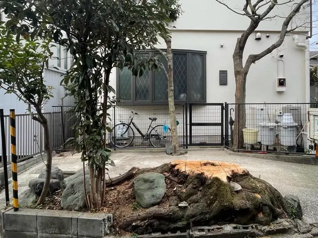 業歴10年・樹木医在籍！◎お庭のことなら庭クイックサービスの画像