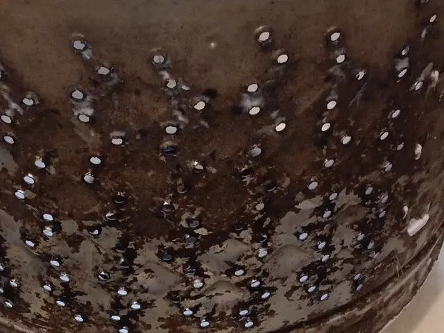 ▣船橋市発！▣ハウスクリーニング士が伺います！◎駐車場料金は当店負担◎サービスの画像