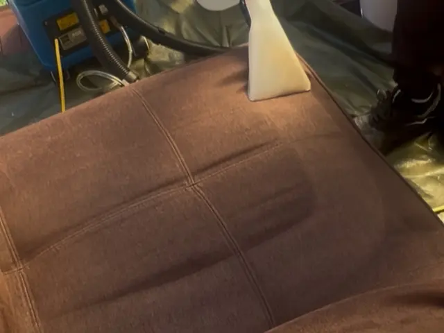 嘔吐物、尿、糞便、血液...有機的な汚れ、同居人では気付きにくいペットの臭いに！サービスの画像