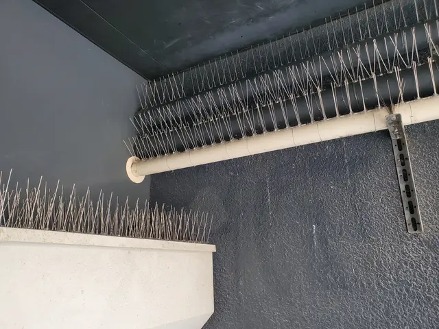 ベランダの鳩対策には防鳥ネットがお勧め！巣の除去清掃や糞清掃のみも承ってます！サービスの画像