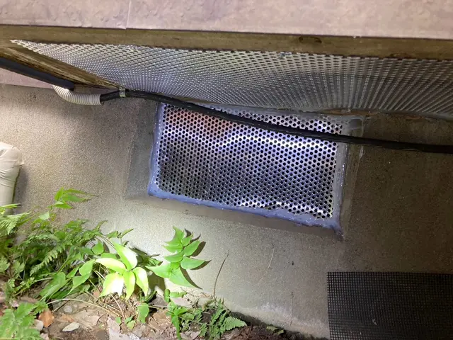 【即日対応可能】すべて自社対応◎まずはご相談からどうぞ！害獣被害はお任せくださいサービスの画像