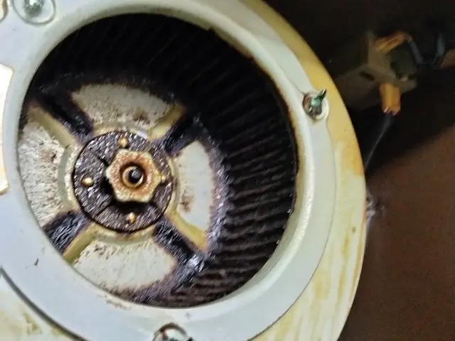 【オリジナル洗剤使用。油汚れに水垢、カビ等に効果バツグン！！ 】損害保険加入店サービスの画像