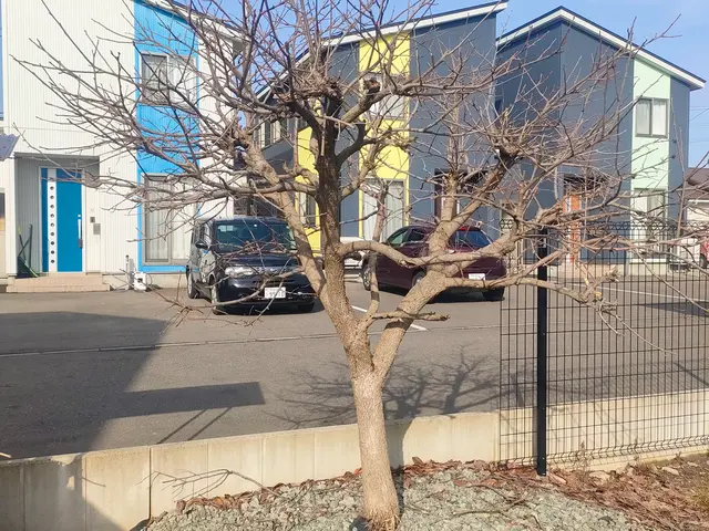 【山林作業の実績15年】お住まいの困りごと解決 些細なことでもご相談下さい！サービスの画像