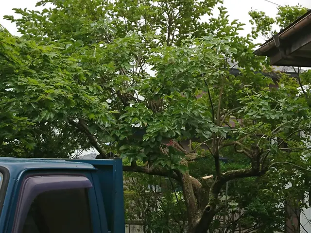 【山林作業の実績15年】お住まいの困りごと解決 些細なことでもご相談下さい！サービスの画像