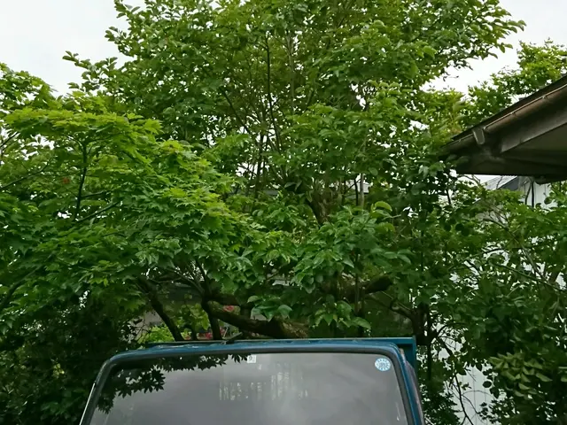 【山林作業の実績15年】お住まいの困りごと解決 些細なことでもご相談下さい！サービスの画像