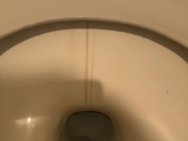 《損害保険加入》女性スタッフ同行可！汚れの程度による追加料金なし！親切丁寧に対応サービスの画像