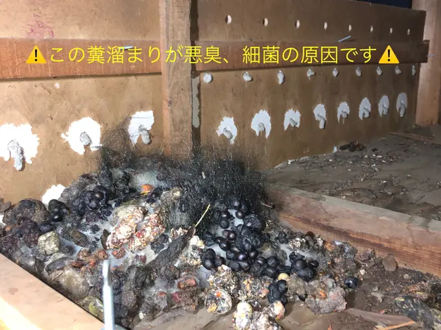 【調査10/28以降のご案内】無料調査になりますのでまずは現状の把握をしましょうサービスの画像