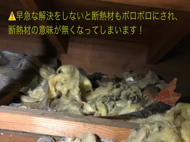 【調査10/28以降のご案内】無料調査になりますのでまずは現状の把握をしましょうサービスの画像