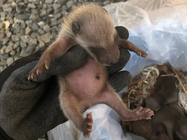 【調査10/28以降のご案内】無料調査になりますのでまずは現状の把握をしましょうサービスの画像