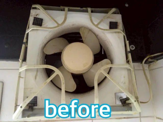 【この機会に害虫対策無料!!】害虫駆除と清掃のプロが手掛ける水回りクリーニング！サービスの画像