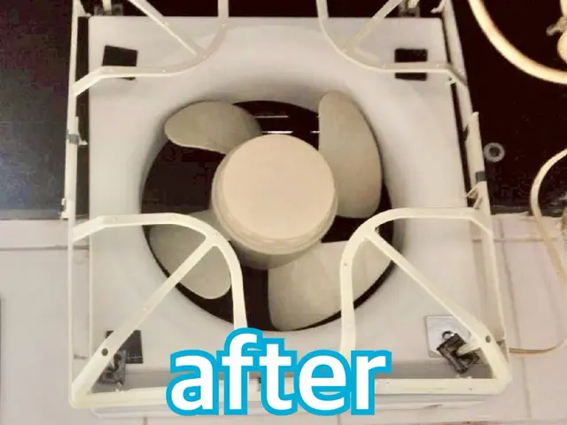 【この機会に害虫対策無料!!】害虫駆除と清掃のプロが手掛ける水回りクリーニング！サービスの画像