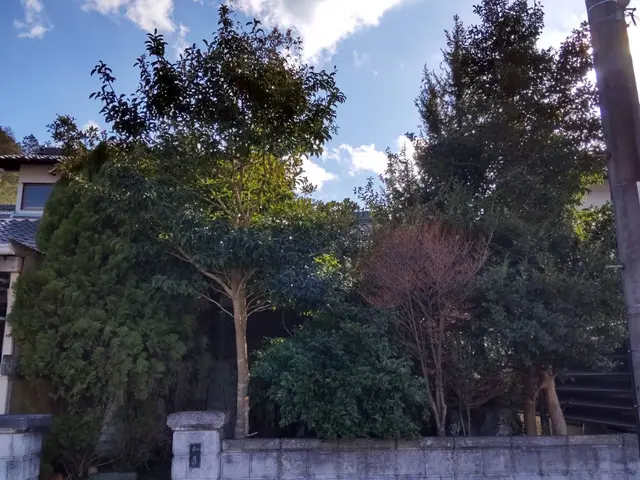 【職人歴10年の実績】年中無休◎アフターフォローもお任せくださいサービスの画像