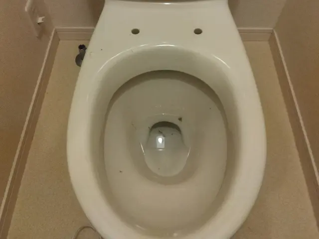 トイレウォシュレット交換サービスの画像