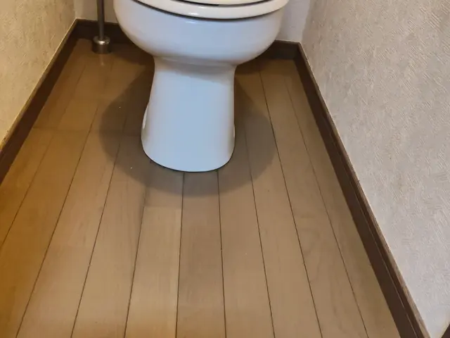 トイレクリーニングサービスの画像