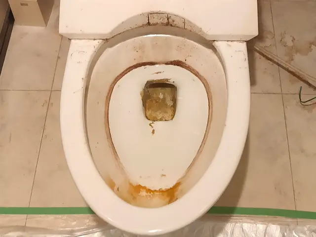 トイレクリーニングサービスの画像