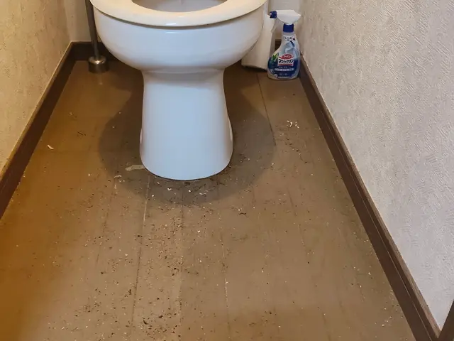 トイレクリーニングサービスの画像