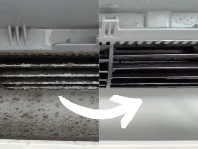 【そうじ屋くま】11年の実績＋損害保険完備。安心して任せられるプロの技。サービスの画像